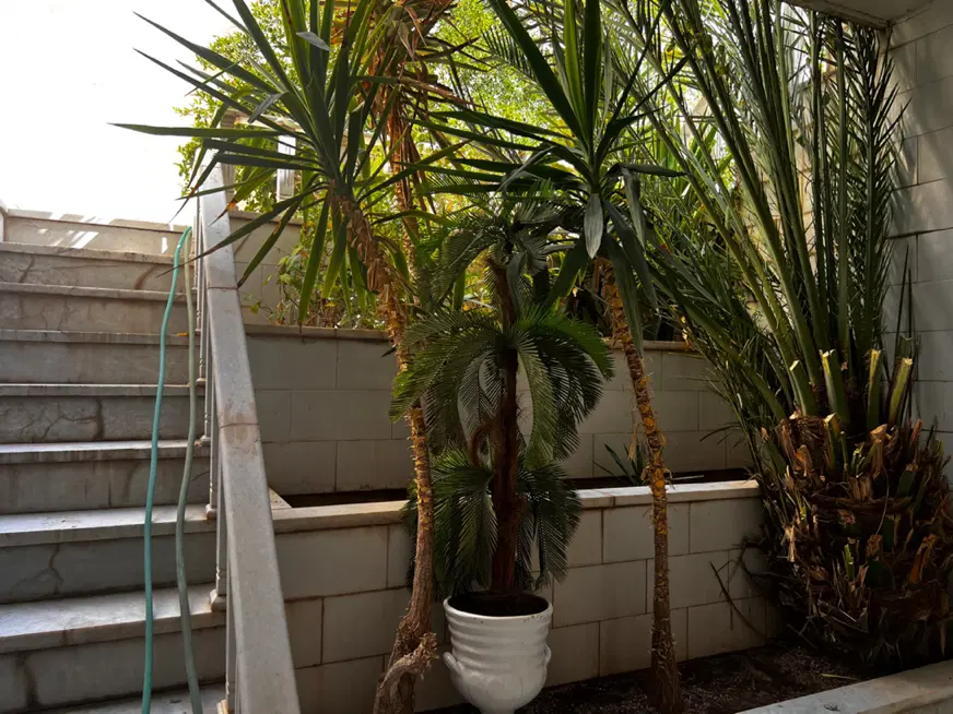 منزل اجازه ای