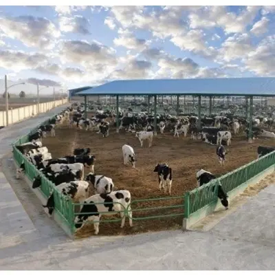 فروش امتیاز گاوداری و زمین کشاورزی ایوان