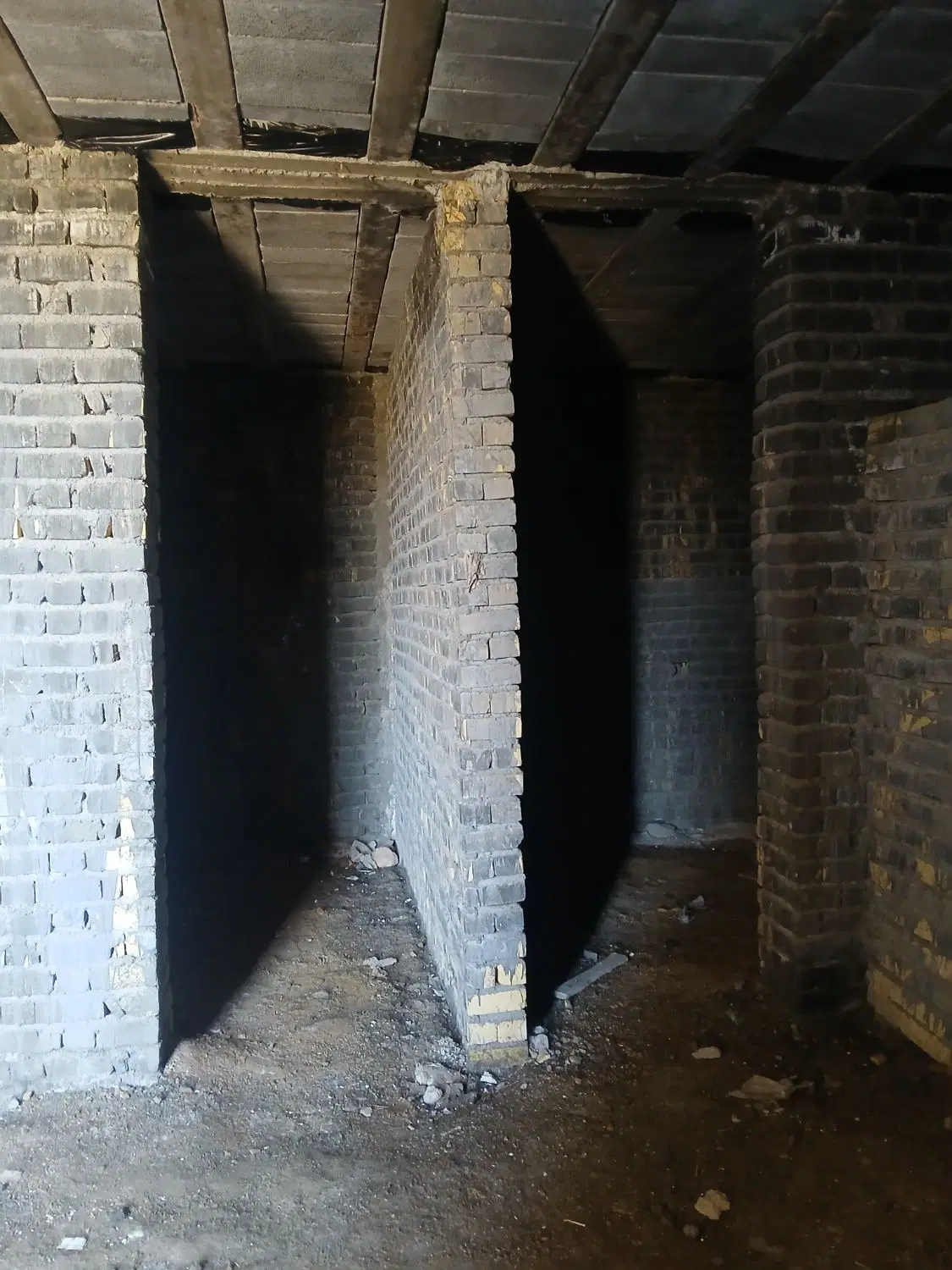 اسکلت گردخون