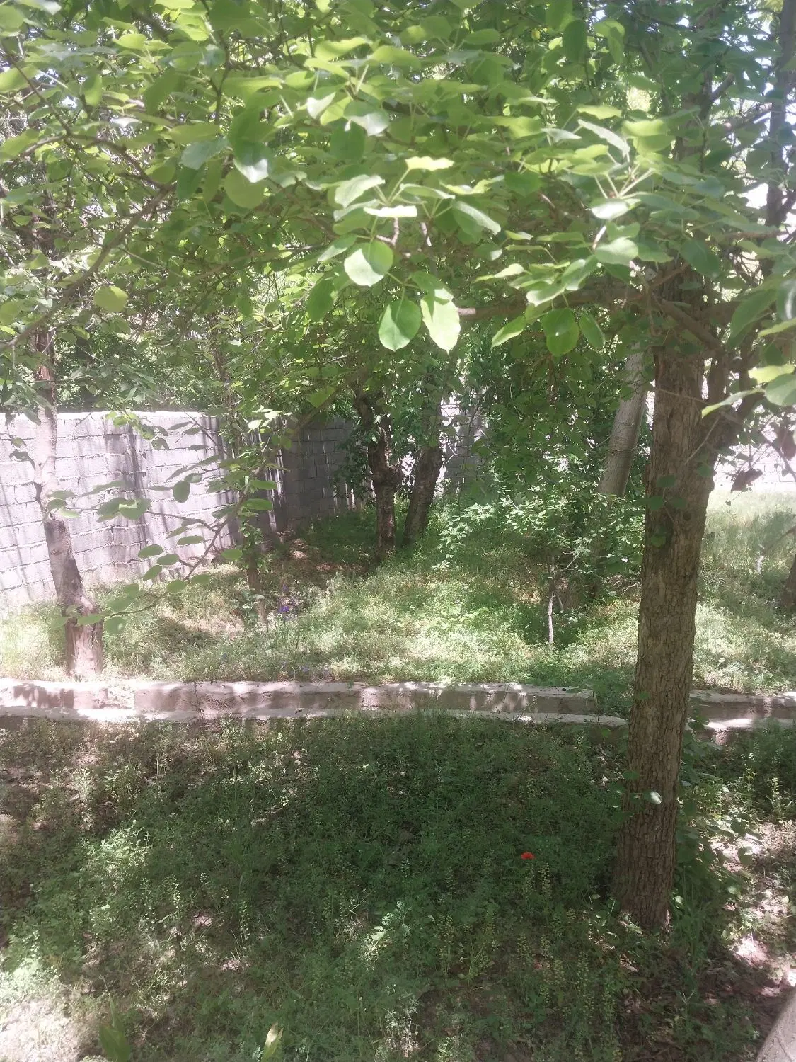 باغچه ۱۶۵ و ۱۶۸ متری  لواسان بزرگ نیکنامده