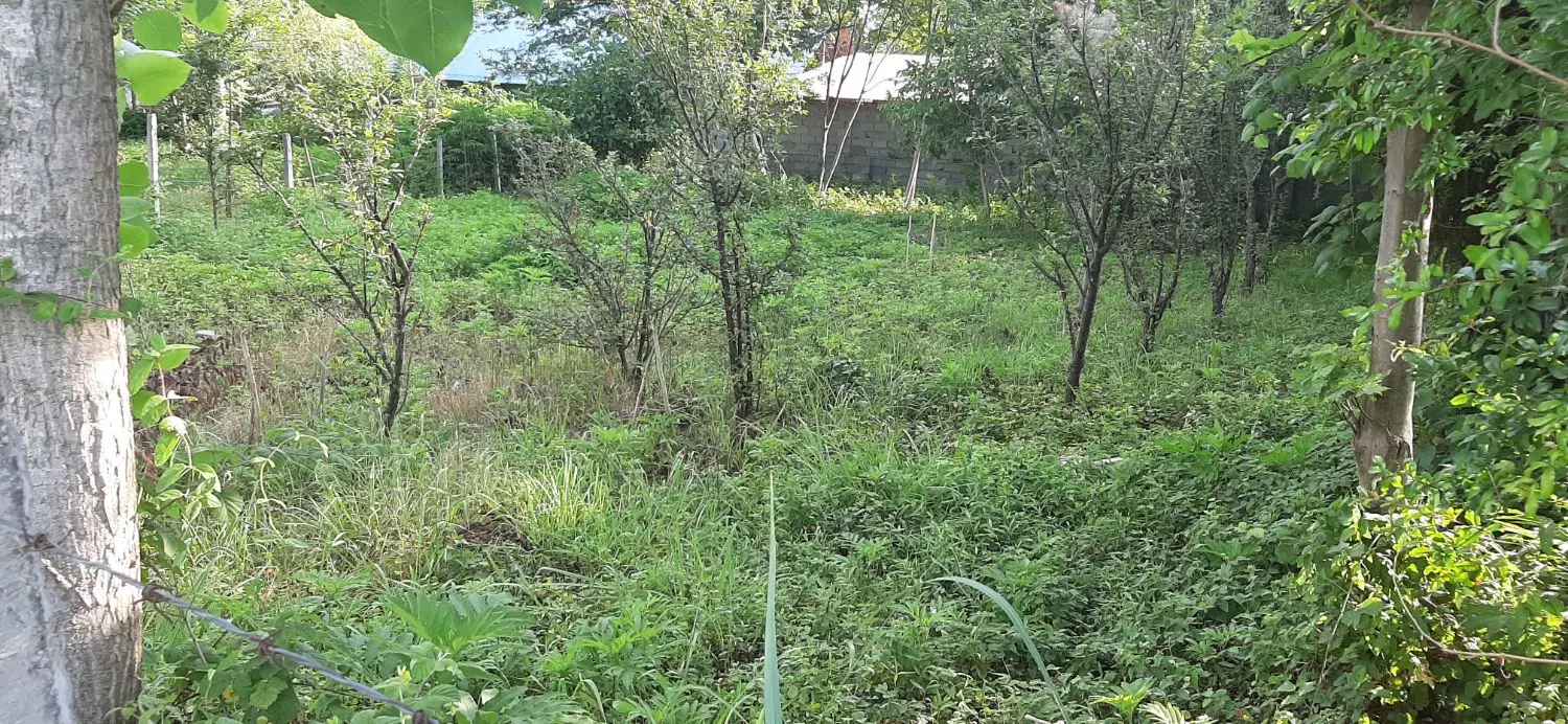 زمین باغی