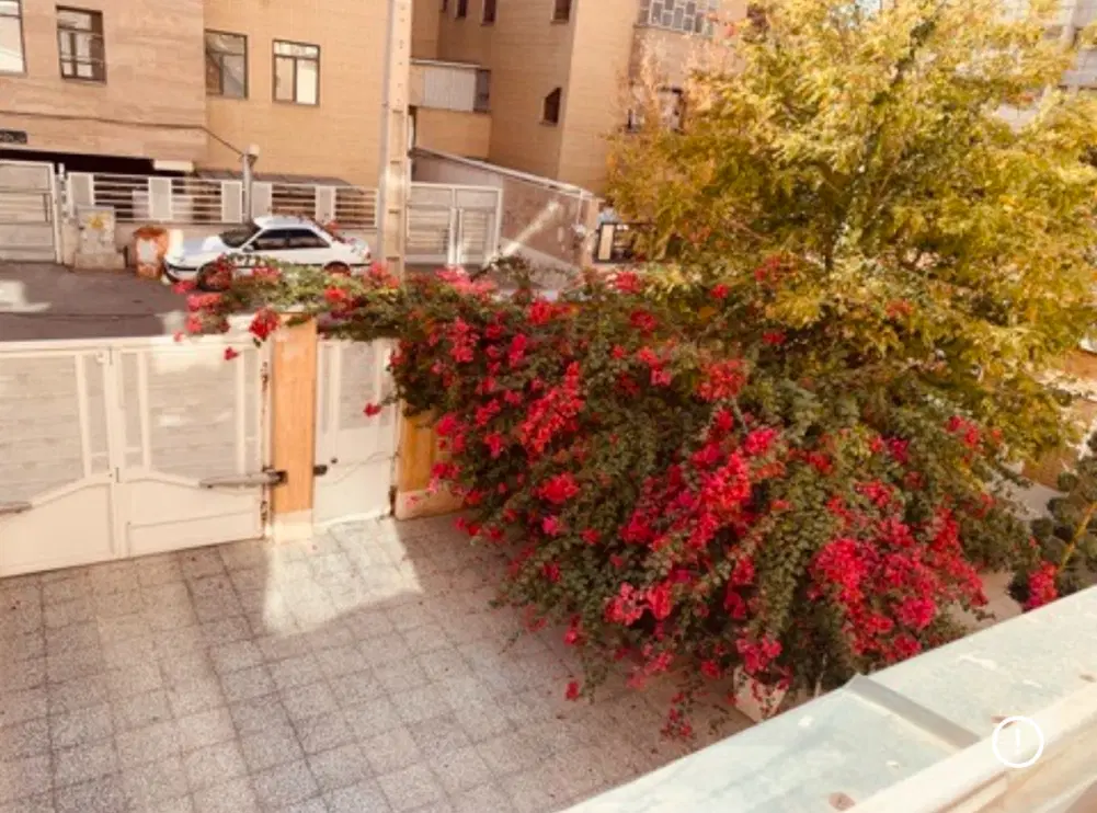 زمین ۲۰۳ متری قلات ، کوچه ۸ گلستان