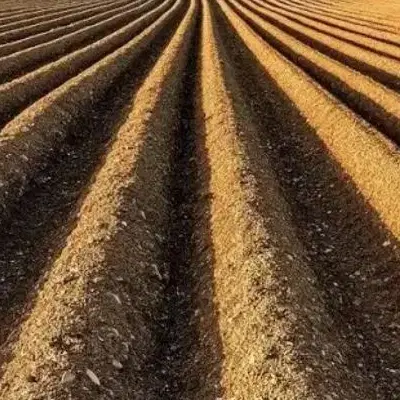 زمین ۲۰۰متری کفترک پشت بسیج
