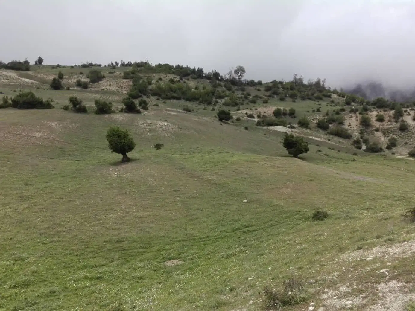 یک هکتار زمین سند دار چالوس