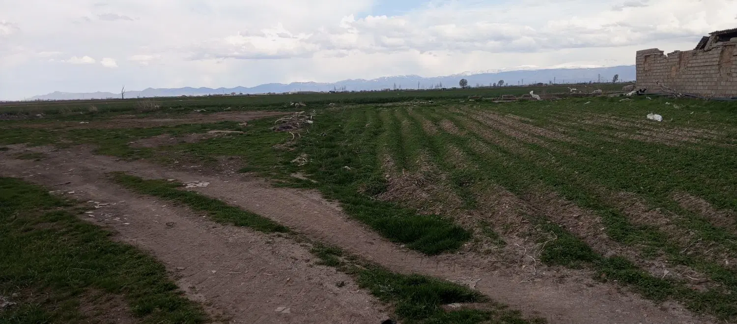 زمین زراعی روستای انزاب علیا