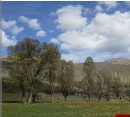 زمین اوقافی روستای یوش