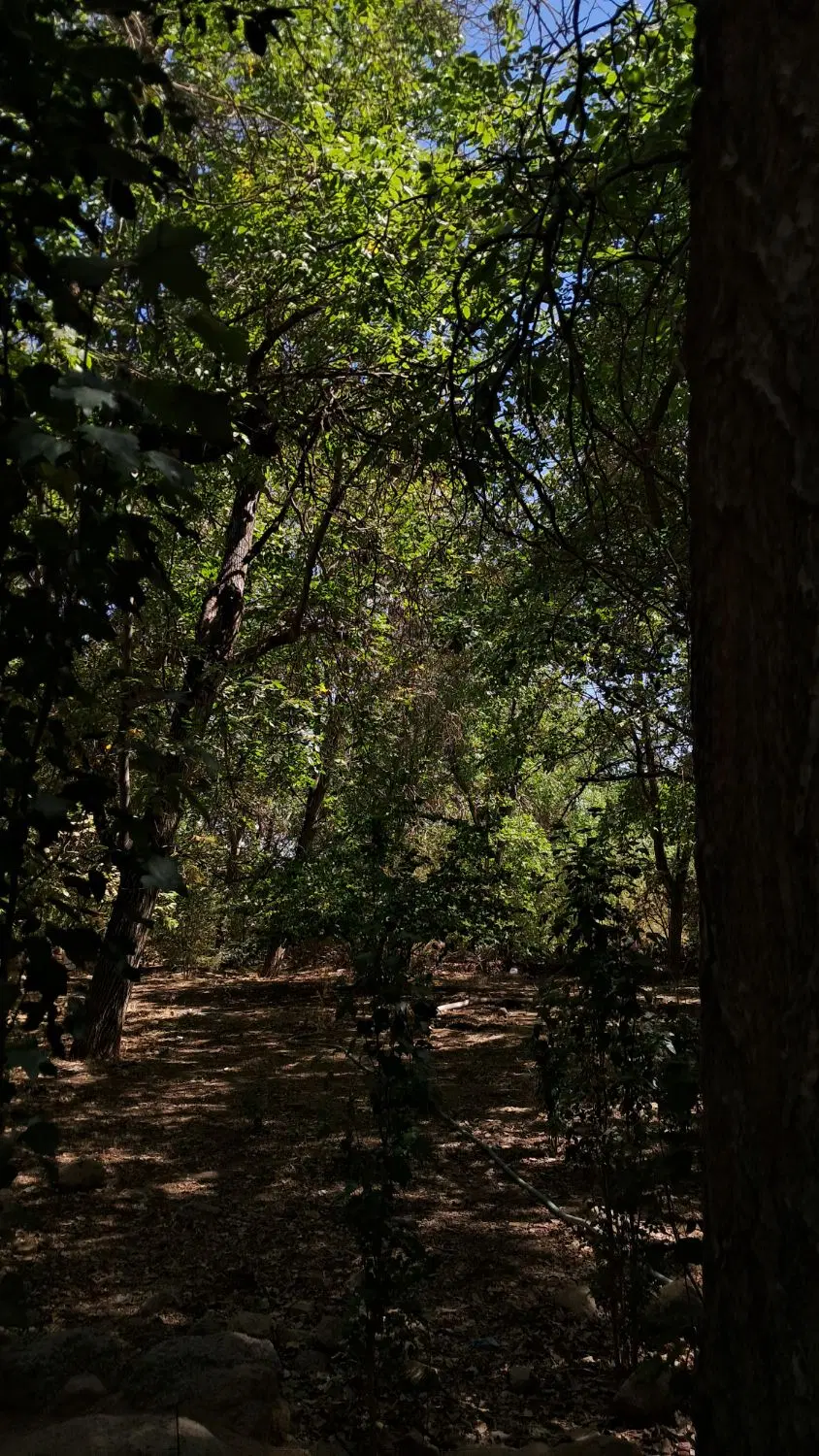 خانه باغ تنگ چنار