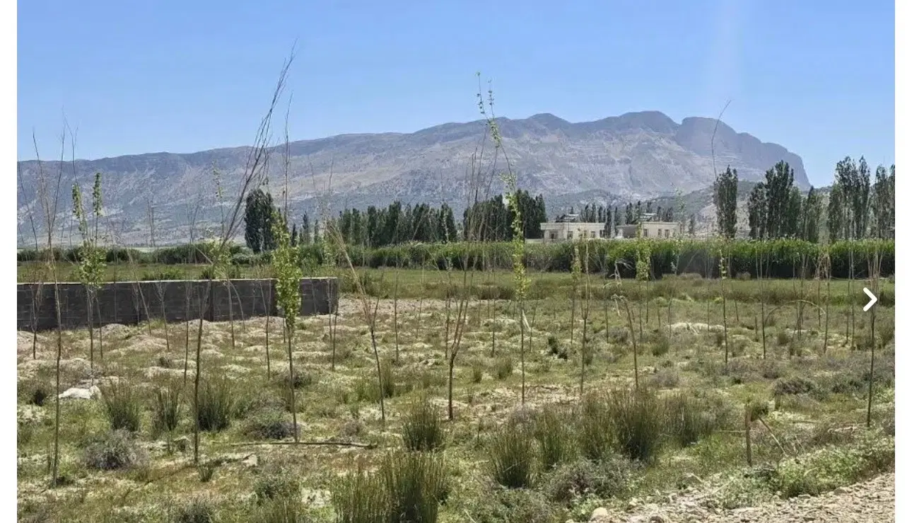 زمین دشت ارژن