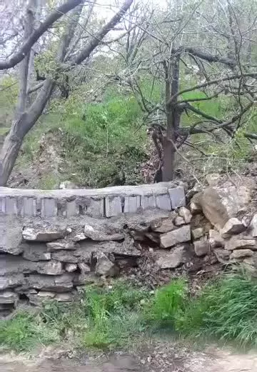 باغچه ور جاده ملحمدره