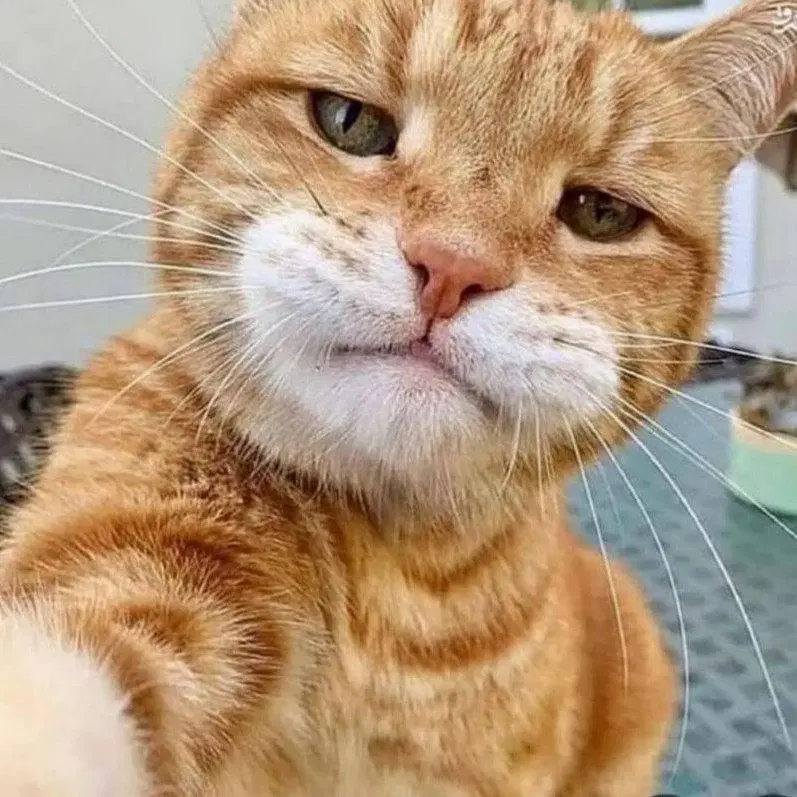 همخونه