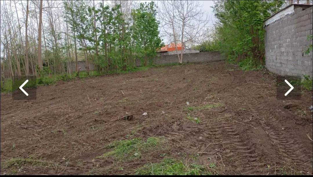 زمین باغی