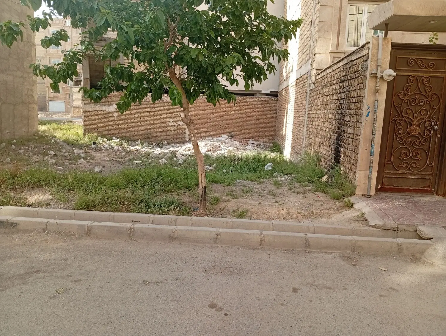 زمبن