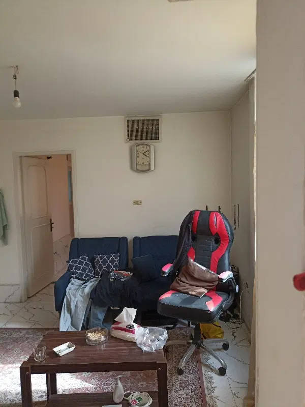 هم خانه خانوم