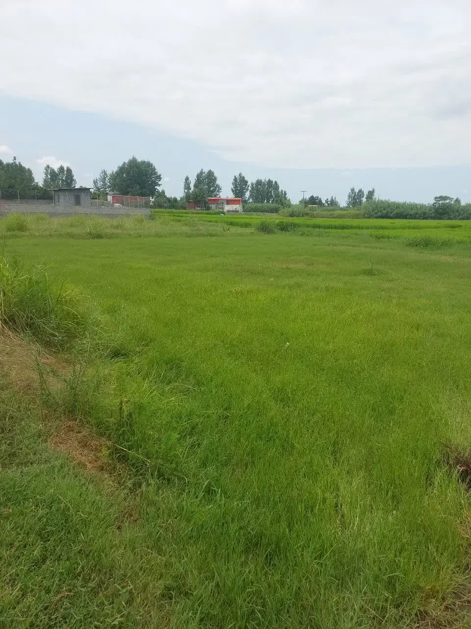 ملک تجاری و مسکونی زرگر شهر بابل