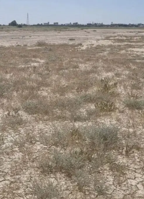 زمین کنار بیمارستان