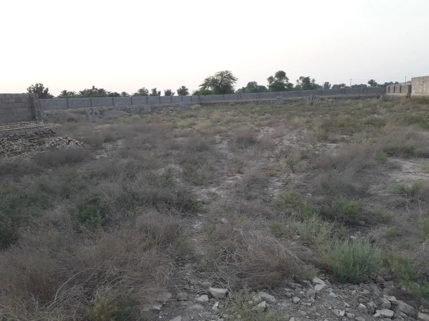 زمین تجاری