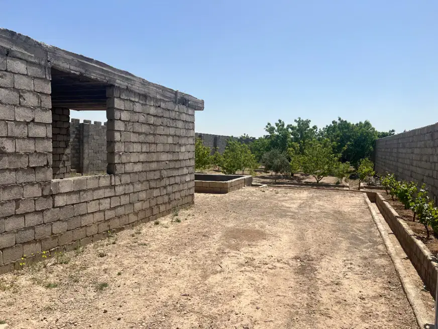 فروش باغ