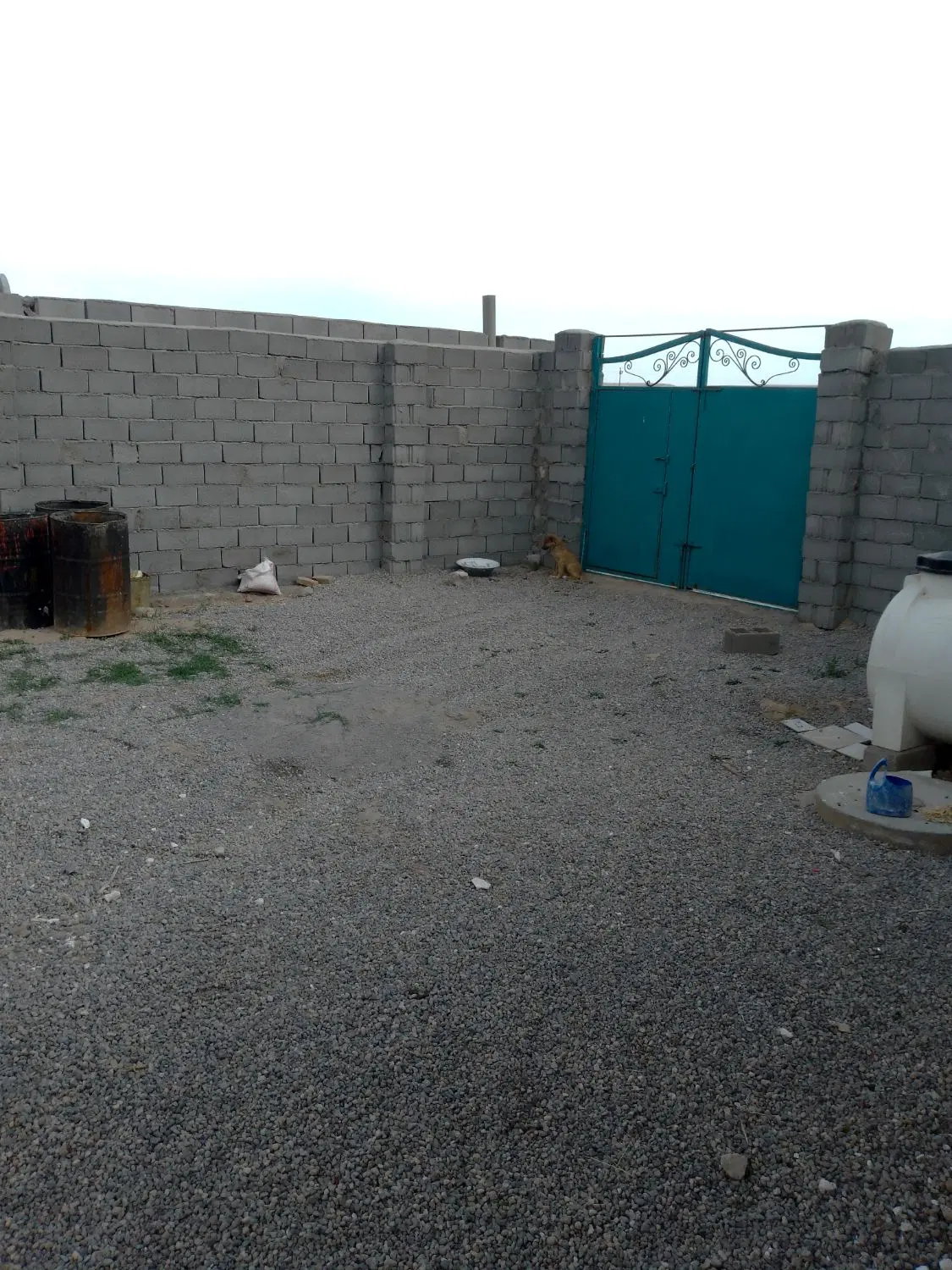 باغ کوچک
