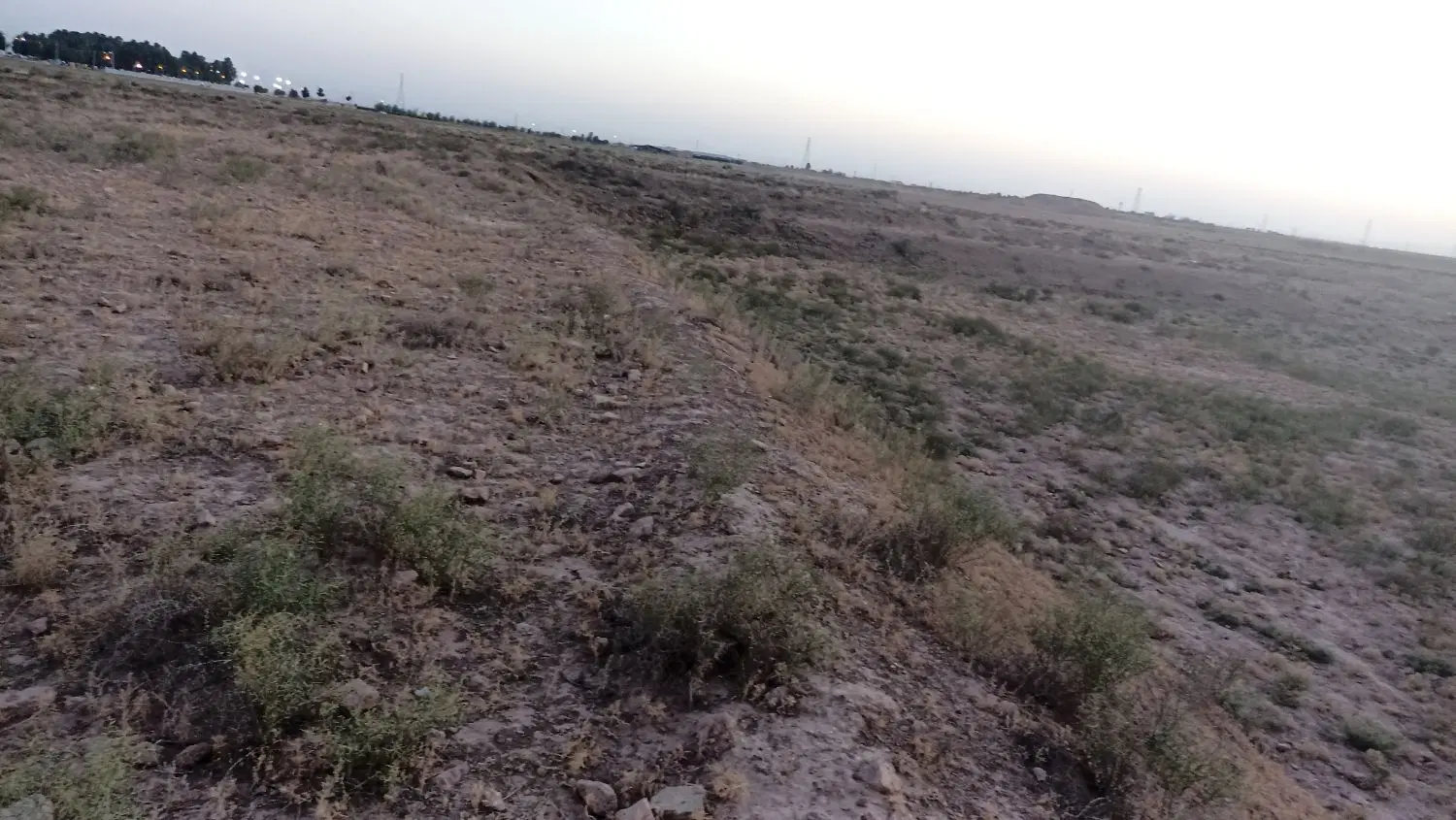زمین کشاورزی
