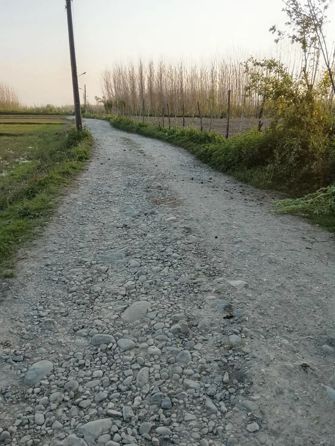 ۲۵۰متر زمین در کسما جیرمهله
