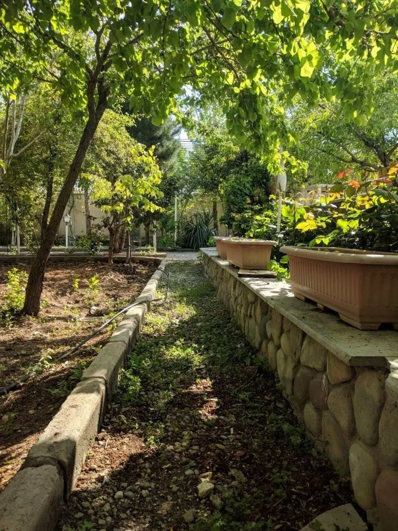 کوهسار سرو ۴۰۰متر چهار دیواری