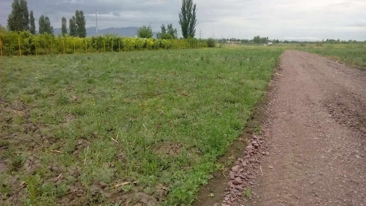زمین 500متر.ویلایی برای باغ و باغچه
