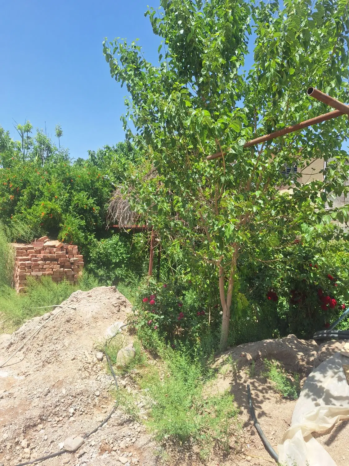 ۷۰۰ متر زمین حصارکشی جهت ساخت و ساز