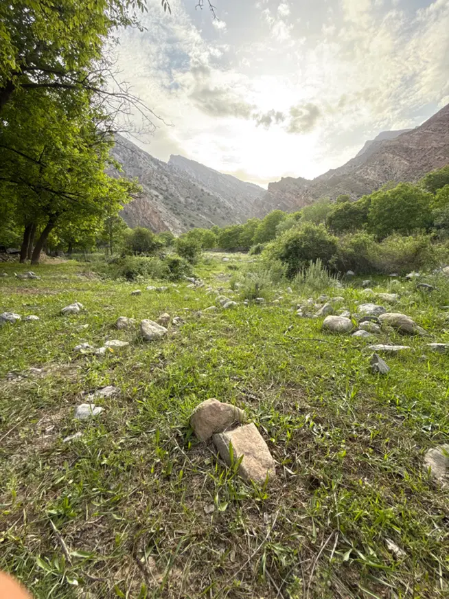 زمین سند شش دانگ ملک ناظریه