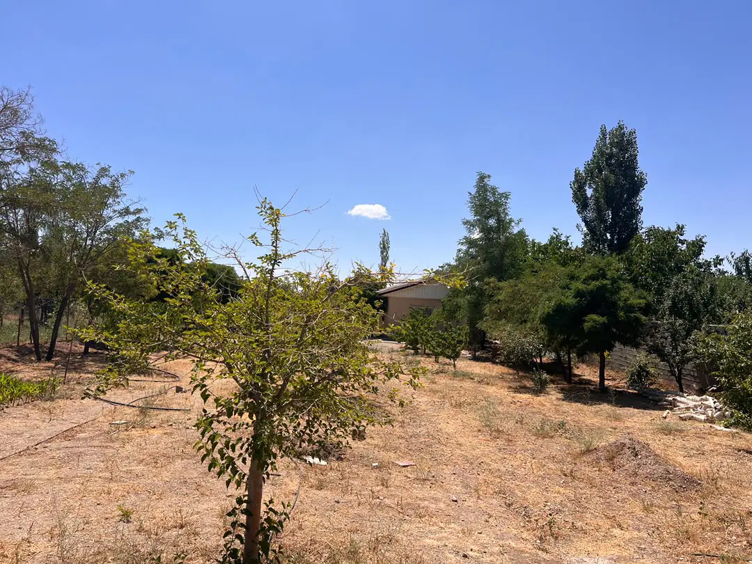 ۲۰۰متر زمین آبسرد