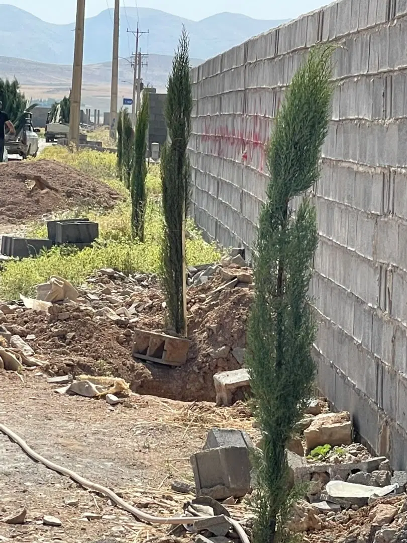 باغچه کهمره