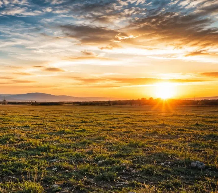 زمین 400متری خیابان کشاورز