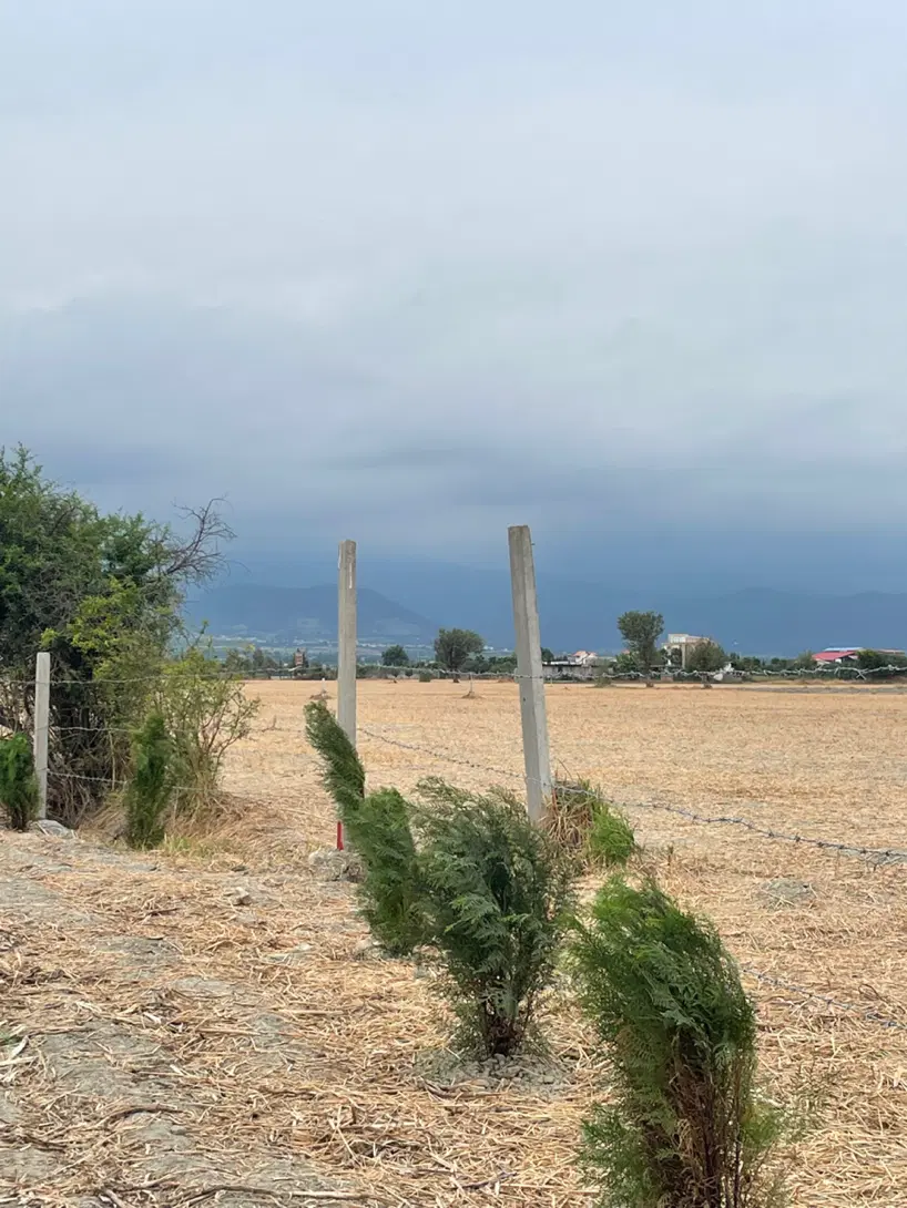 زمین برای باغچه نزدیک به بزرگراه گرگان کردکوی