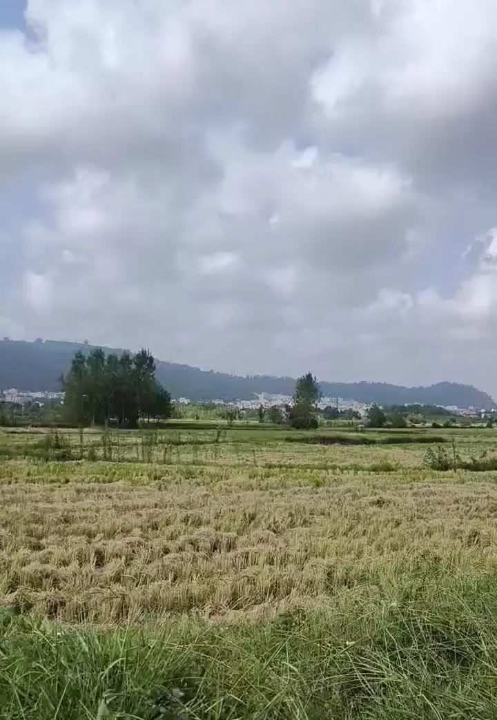 زمین نخجیرکلایه ۱۵۶ متر