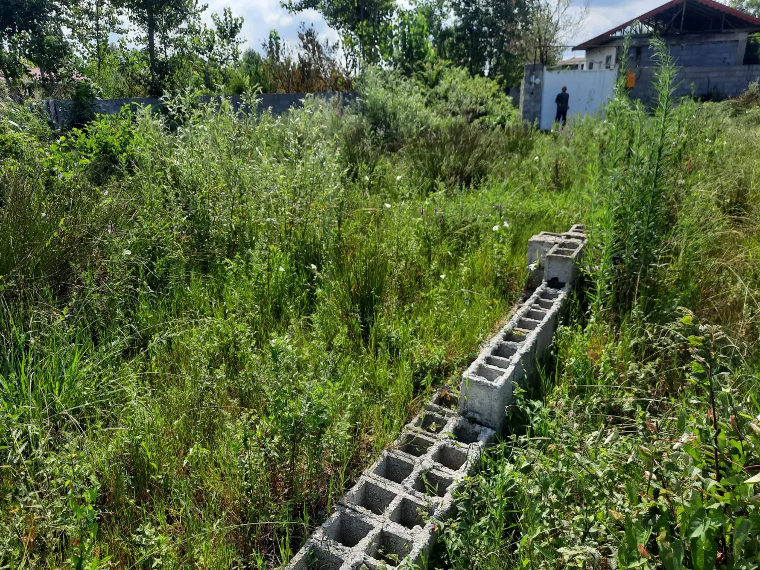 ۲۰۰ متر زمین در شهر فومن