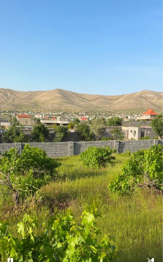 زمین باغچه باجگاه