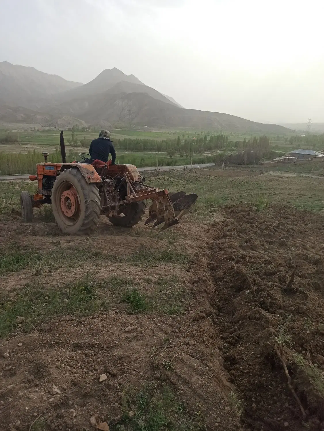 زمین باغی