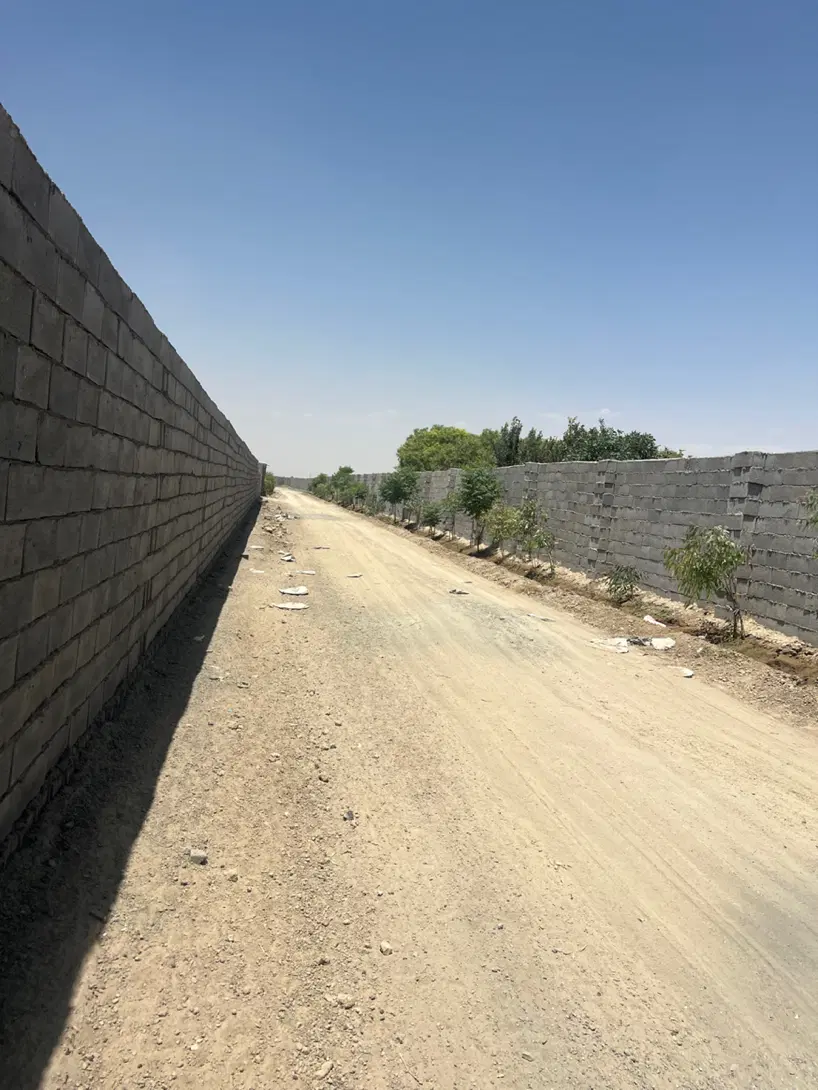 چهار دیوای بران شمالی نقد اقساط