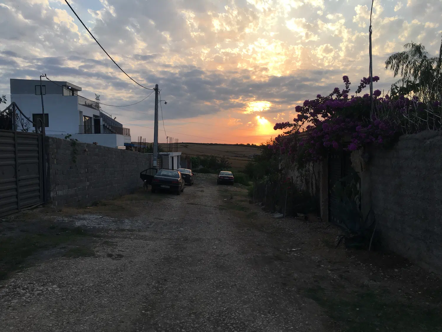 زمین 200 متری روستای خارکش ویو رو به جنگل