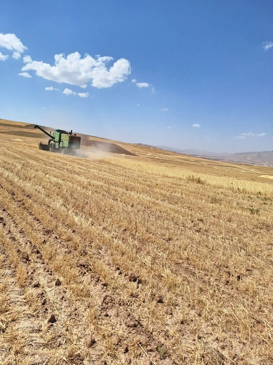 فروش زمین در روستای اینچه