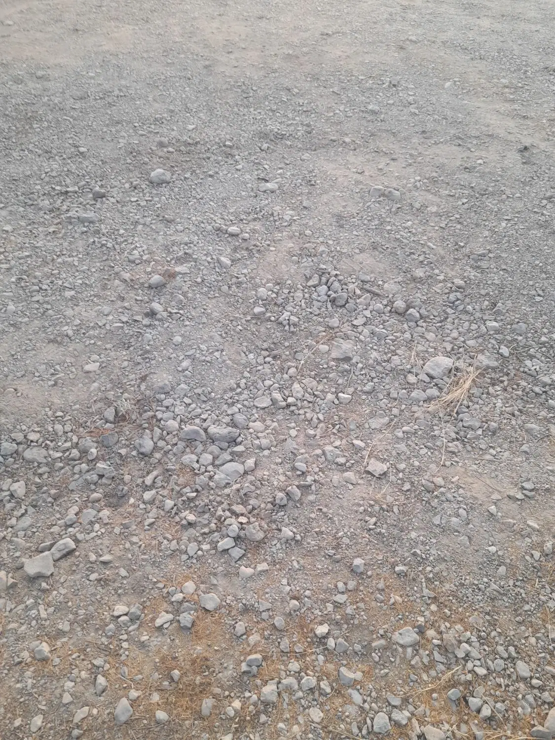 ۶۰۰متر زمین مسکونی واقع در روستای قلات بالا
