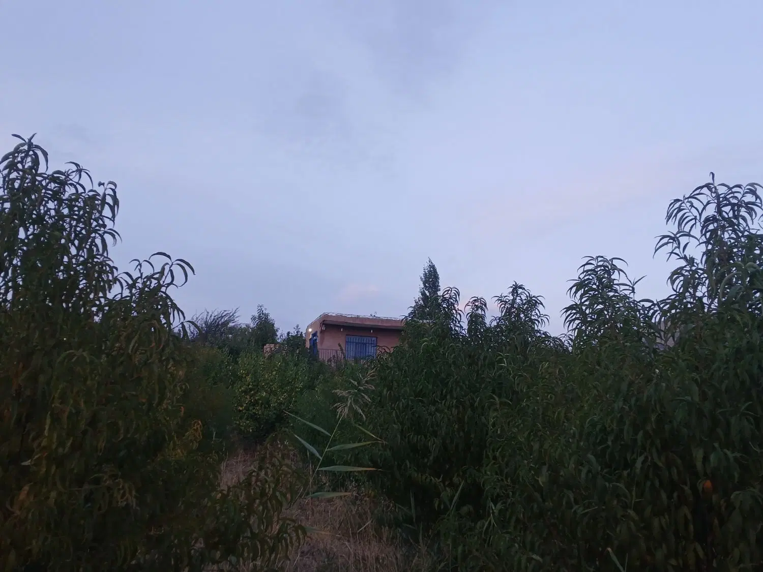 باغ ویلایی