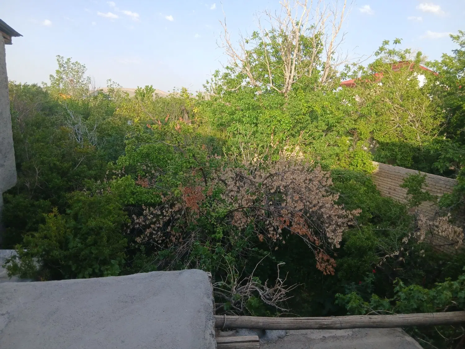 باغ ویلا روستایی