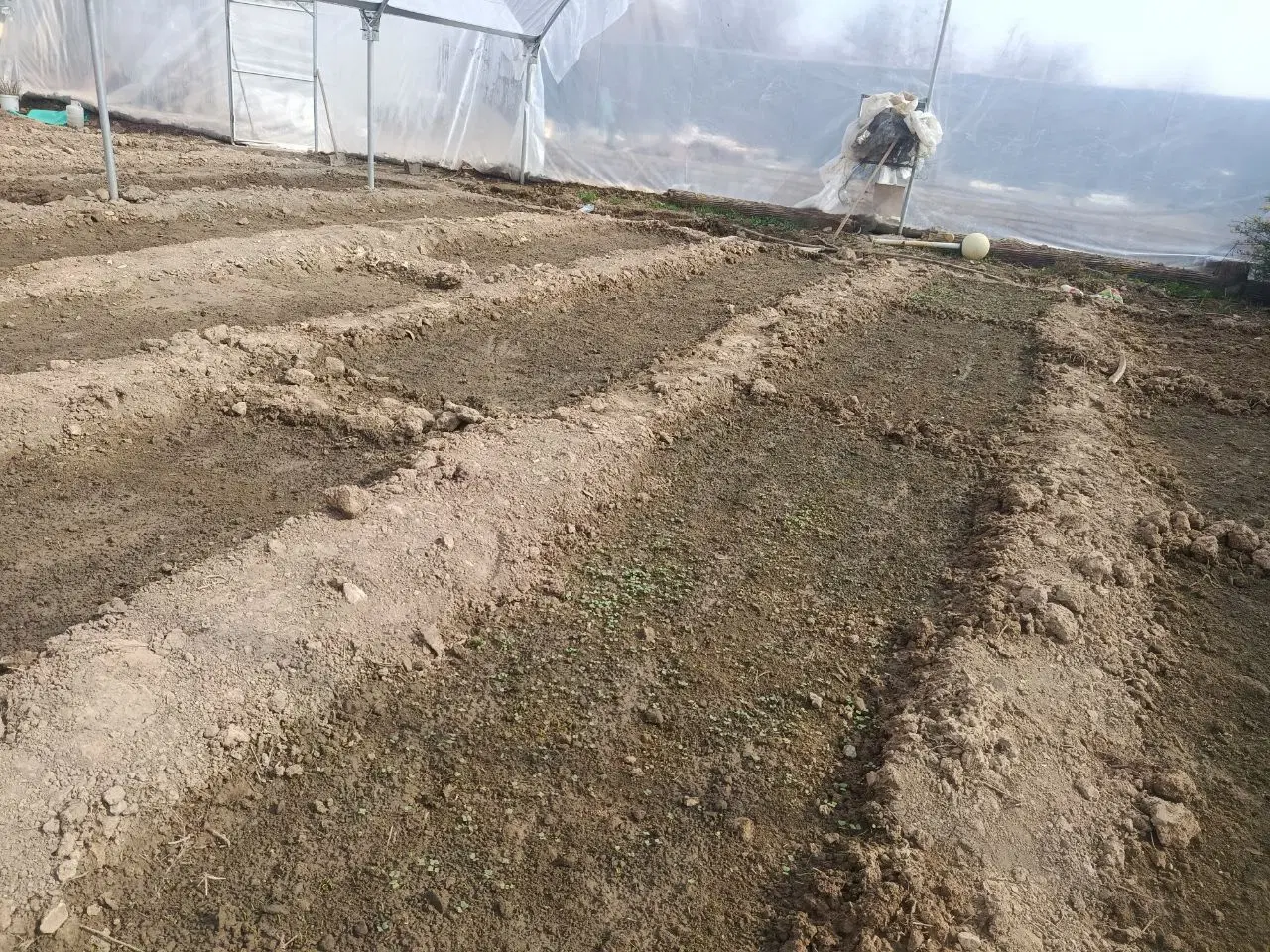 سازه گلخانه فروش ی