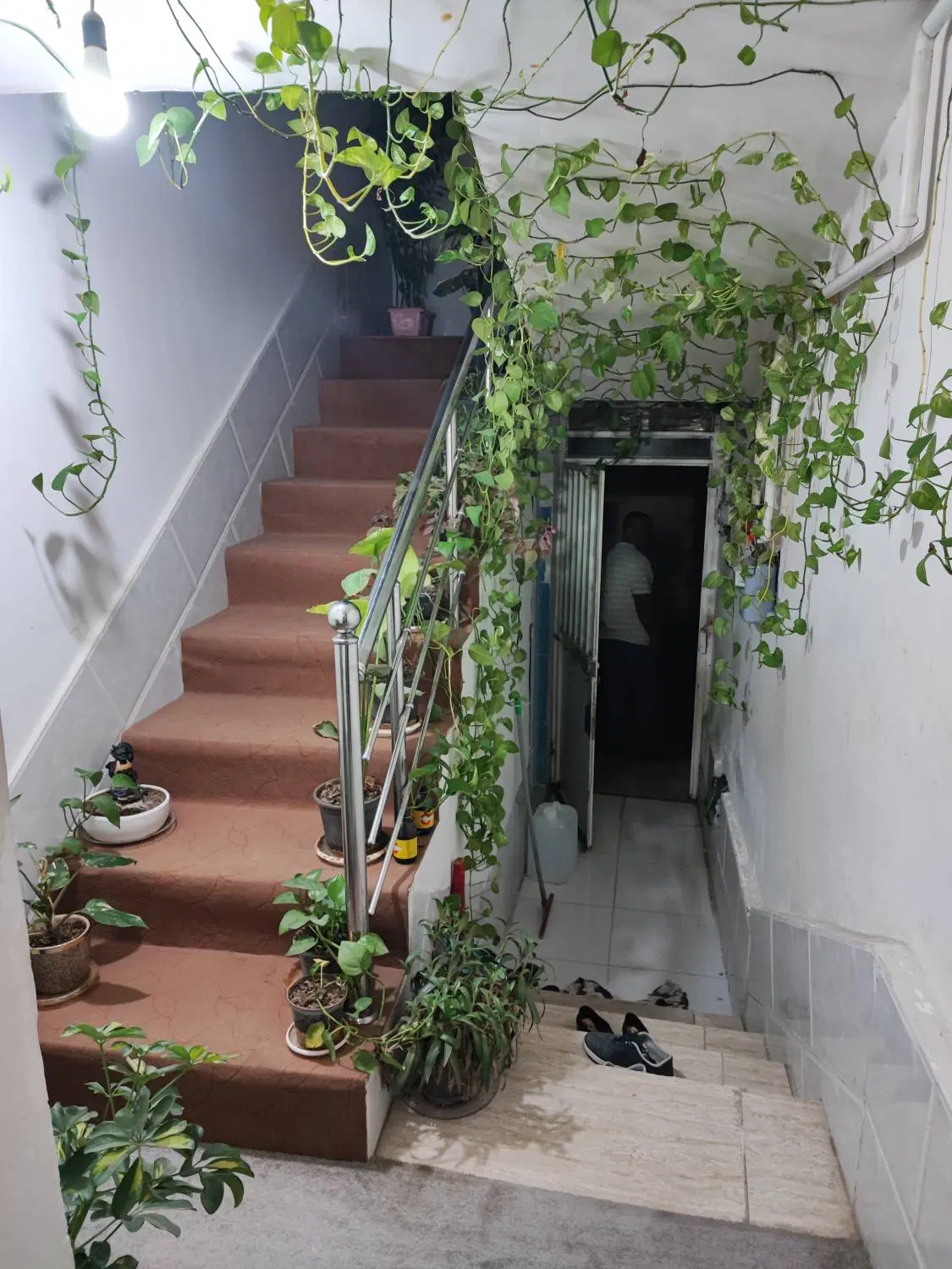 رهن و اجاره خانه دوبلکس