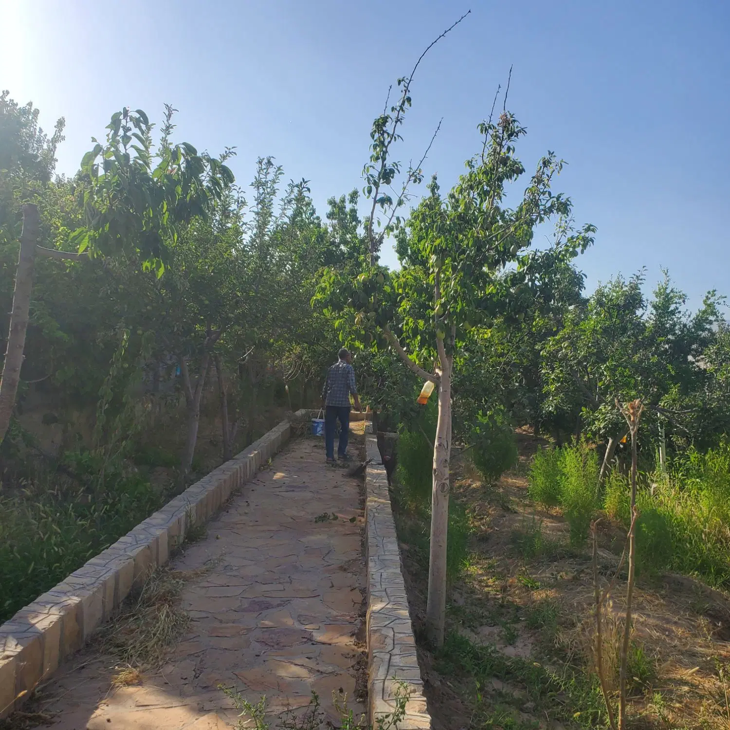 سوئیت اجاره ای (باغ فروشی  )باغرود