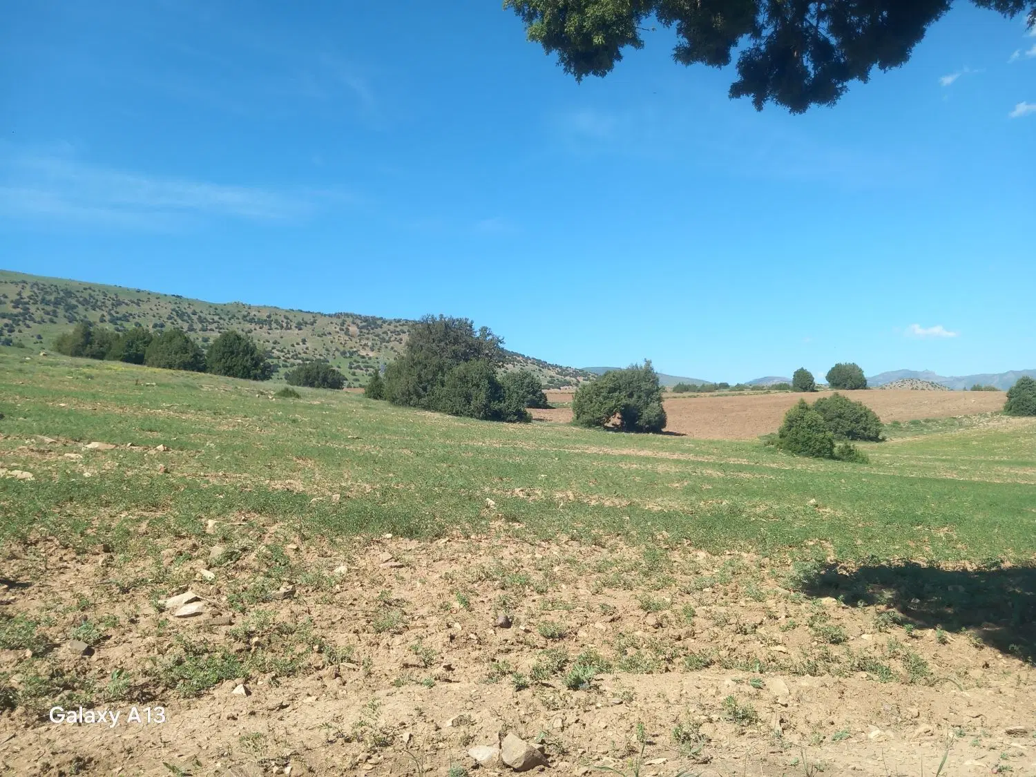 یک قطعه زمین درشهرک عظیمه