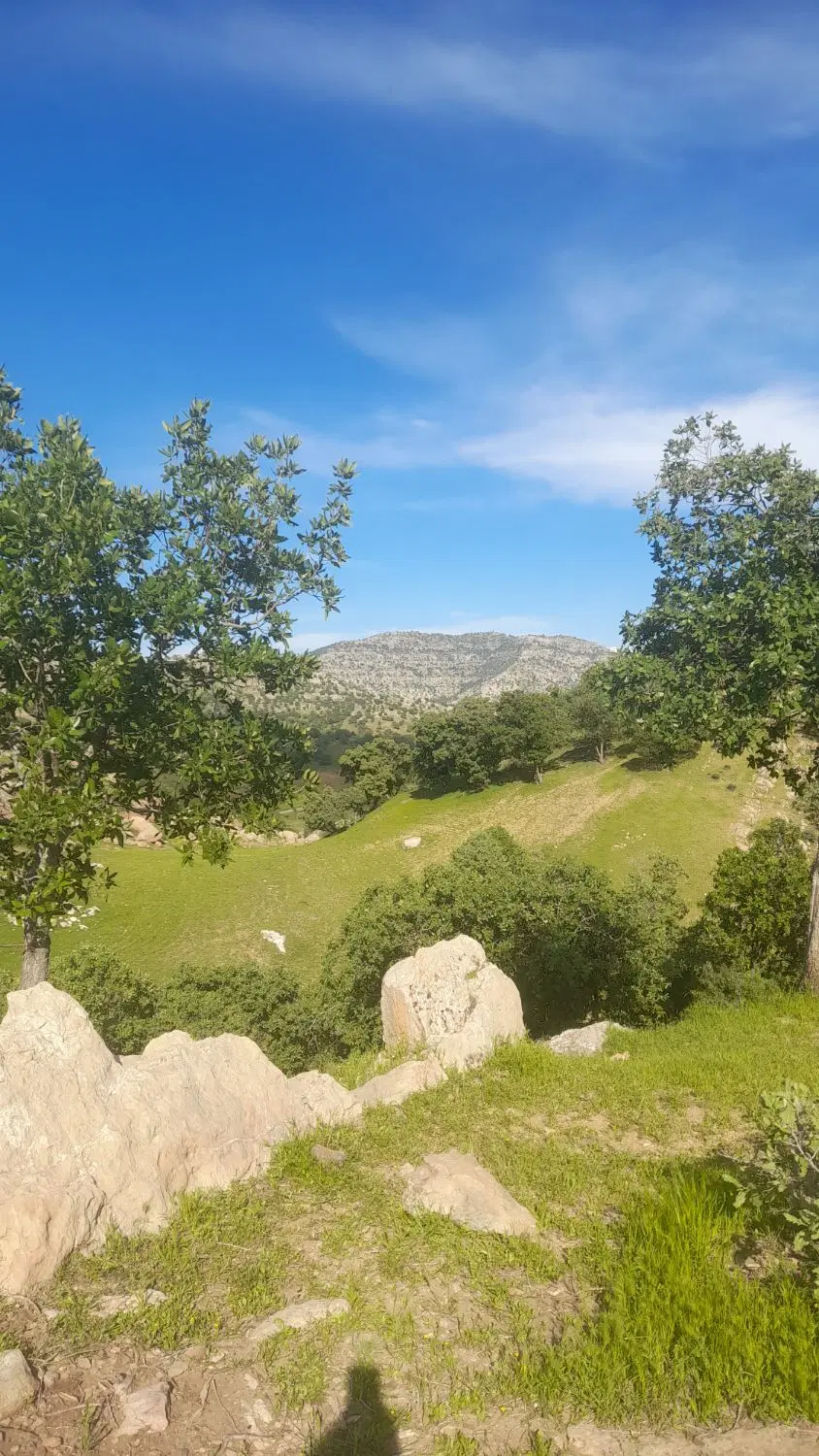 زمین خیابان نهضت