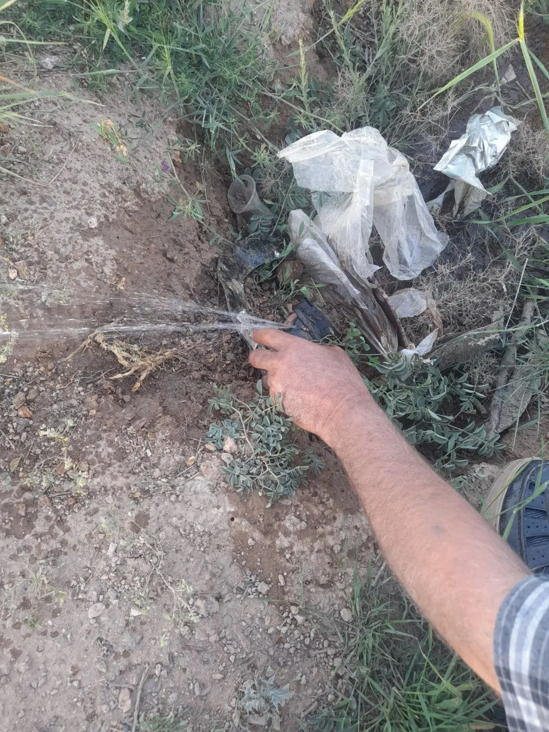 باغ به متراژ ۵۰۰۰متر