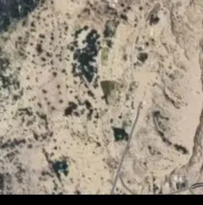 زمین