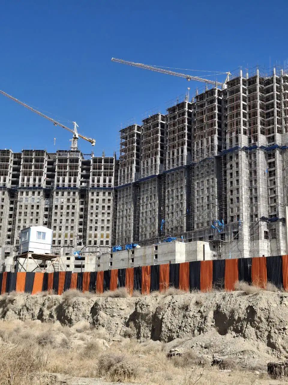 دردشت_ رونیکا حاج رحیم قربانی